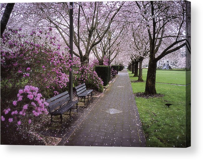 Salem. Capital Acrylic Print featuring the photograph Capital Bloom by HW Kateley