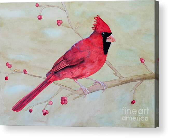 Cardinal Acrylic Print featuring the painting Cardinal II by Laurel Best
