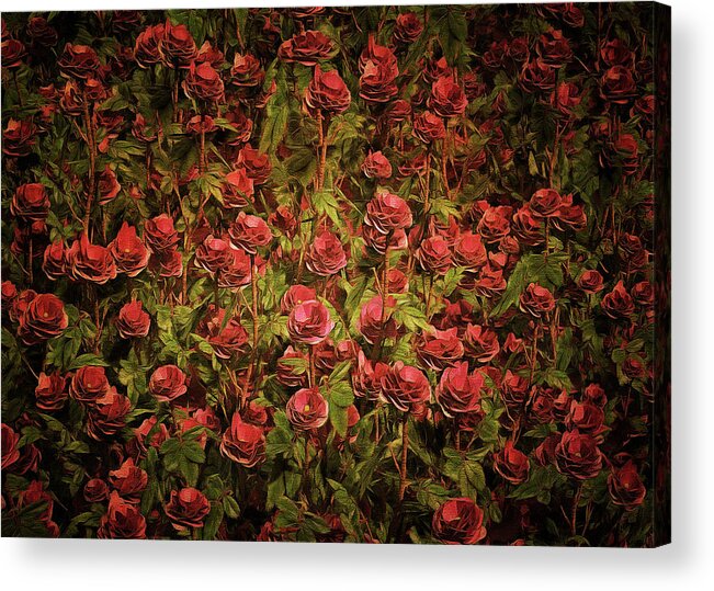 Amber Queen Acrylic Print featuring the painting Cardinal Richelieu roses by Jan Keteleer