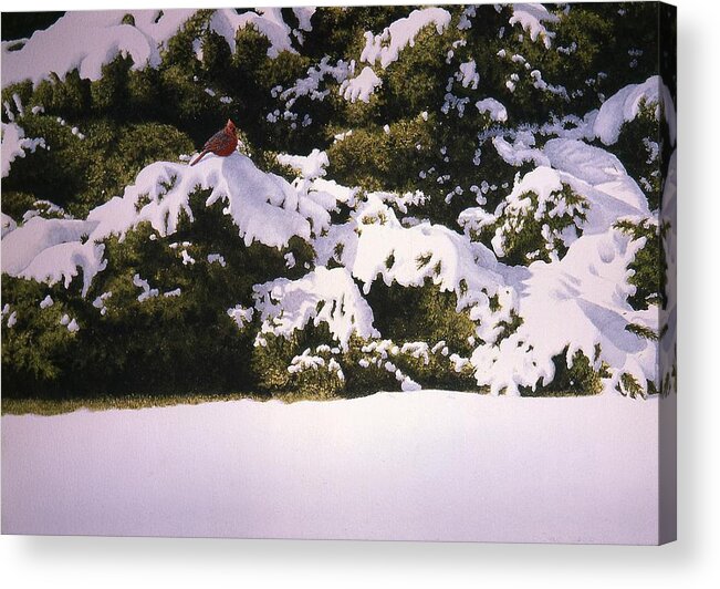 Nature Acrylic Print featuring the painting Cedar and Snow by Conrad Mieschke