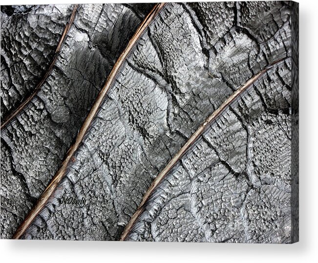 Charred Pine Bark Acrylic Print featuring the photograph Charred Pine Bark by Natalie Dowty