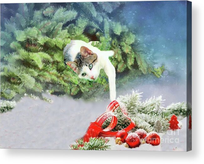 Cat Acrylic Print featuring the photograph Christmas Cat by Janette Boyd