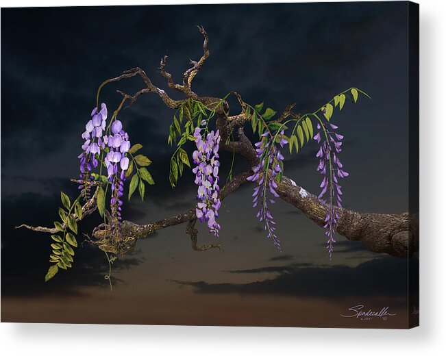 Tree Acrylic Print featuring the digital art Cogan's Wisteria Tree by M Spadecaller