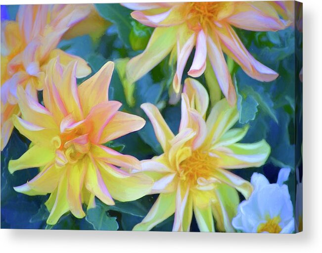 Floral Acrylic Print featuring the photograph Color 154 by Pamela Cooper