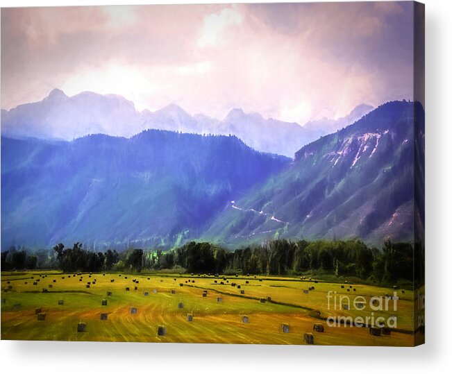 Digital Art Acrylic Print featuring the painting Colorado Harvest Watercolor by Janice Pariza
