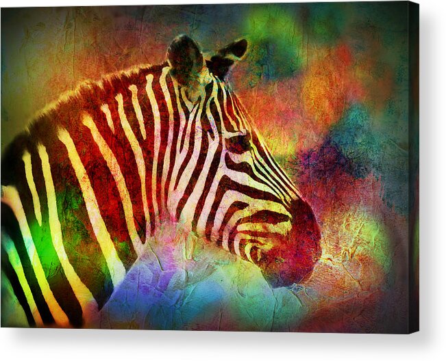 Colorful Acrylic Print featuring the painting Colorful Zebra by Lilia S