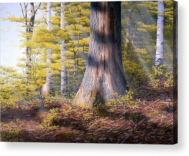 Woodland Acrylic Print featuring the painting Colors of Spring by Conrad Mieschke