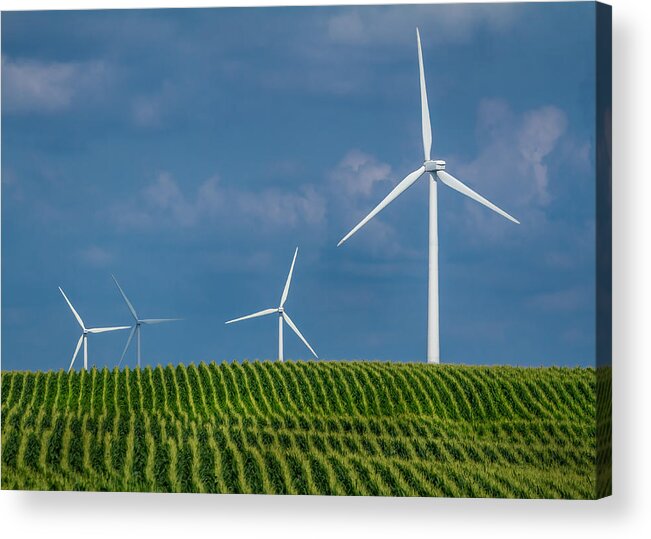 Alternative Energy Acrylic Print featuring the photograph Corn Rows and Windmills by Ron Pate