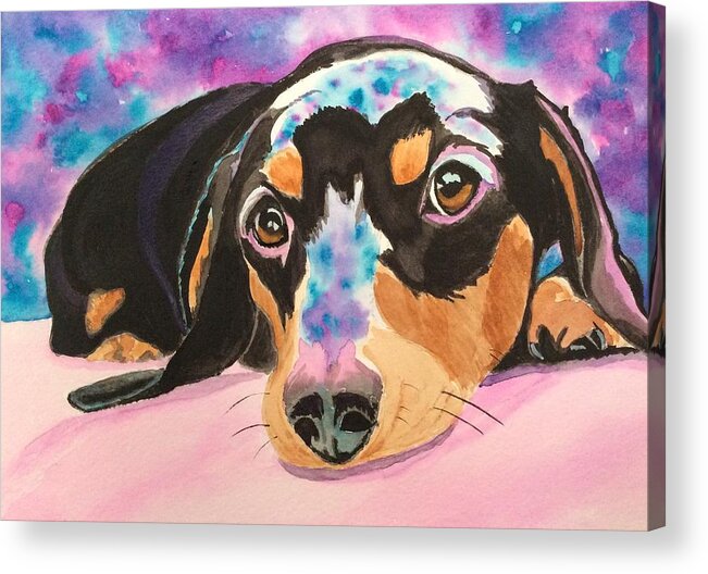 Dachshund Acrylic Print featuring the painting Cosmic Doxie by Sonja Jones
