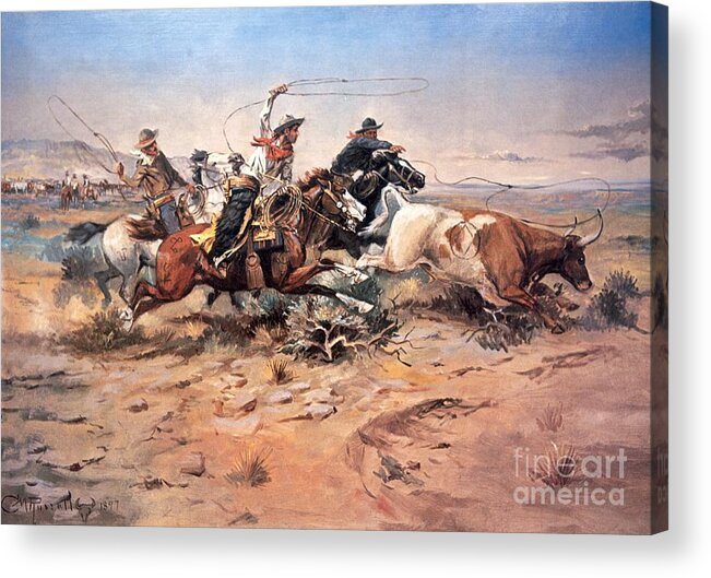 Cowboys Acrylic Print featuring the painting Cowboys roping a steer by Charles Marion Russell