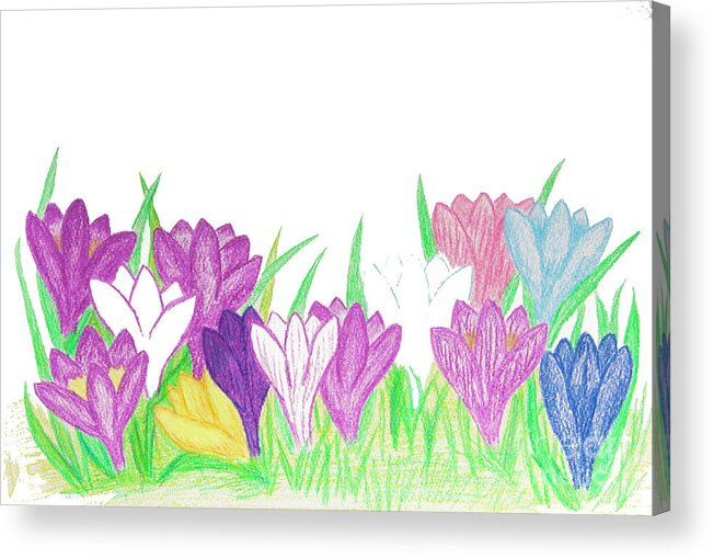 Crocus Acrylic Print featuring the painting Crocuses of different colours by Irina Afonskaya