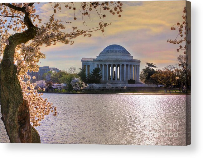 Washington Dc Acrylic Print featuring the photograph Crooked Tree Sunrise by Karen Jorstad