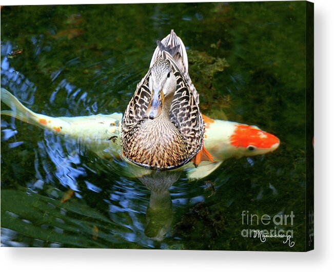 Fauna Acrylic Print featuring the photograph Crossing Paths by Mariarosa Rockefeller