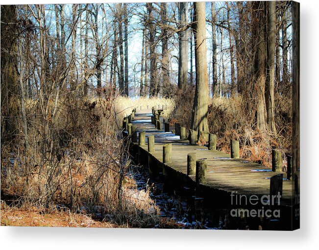 Reelfoot Lake Acrylic Print featuring the photograph Cyprus Pier Reelfoot Lake by Veronica Batterson