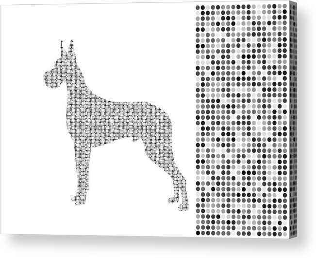 Dots Acrylic Print featuring the digital art Dane Dots Black and White by Brian Kirchner