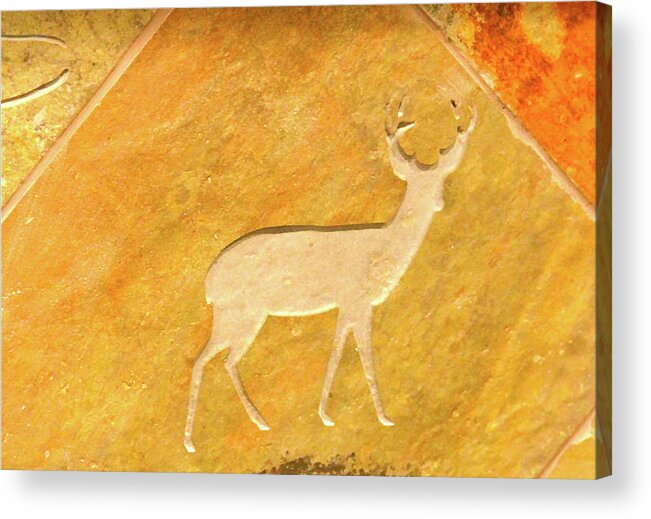 Deer Acrylic Print featuring the photograph Deer in Stone by Laddie Halupa