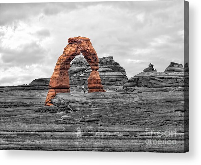 Delicate Acrylic Print featuring the photograph Delicate Arch by Shirley Mangini