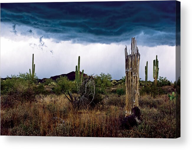 Superstitions Acrylic Print featuring the photograph Desert Cactus Storms at the Superstitions Mountains by Dave Dilli