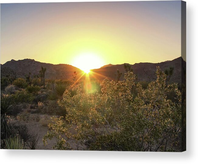 Desert Acrylic Print featuring the photograph Desert Sunset by Alison Frank