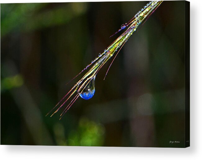 Dewdrop Acrylic Print featuring the photograph Dewdrop Reflection - Sunrise 001 by George Bostian