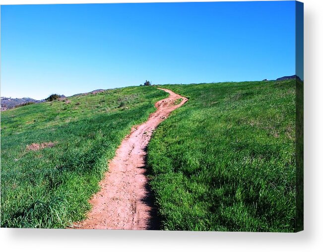 Path Acrylic Print featuring the photograph Dirt Path Through Fields by Matt Quest