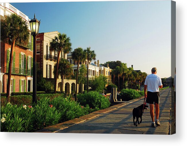 Charleston Acrylic Print featuring the photograph Do the Charleston Dog Walk by James Kirkikis