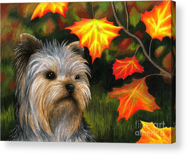 Dog Acrylic Print featuring the painting Dog 78 Yorkshire by Lucie Dumas