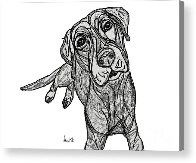 Dog Acrylic Print featuring the digital art Dog Sketch in Charcoal 10 by Ania M Milo