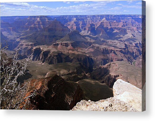 Grand Canyon National Park Acrylic Print featuring the photograph Don't Get Too Close to the Edge by Larry Ricker