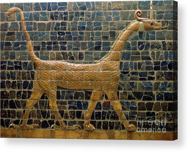 Dragon Acrylic Print featuring the photograph Dragon of Marduk - On the Ishtar Gate by Anonymous