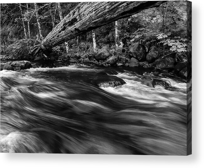 Landscapes Acrylic Print featuring the photograph Eagle Creek by Steven Clark
