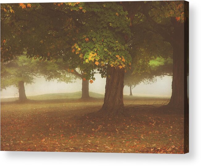 Poconos Acrylic Print featuring the photograph Early Morning Mist In The Poconos by Pat Abbott