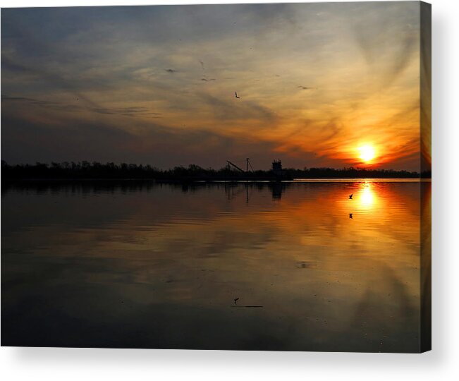 Sunrise Acrylic Print featuring the photograph Early Morning Rise by Judy Vincent