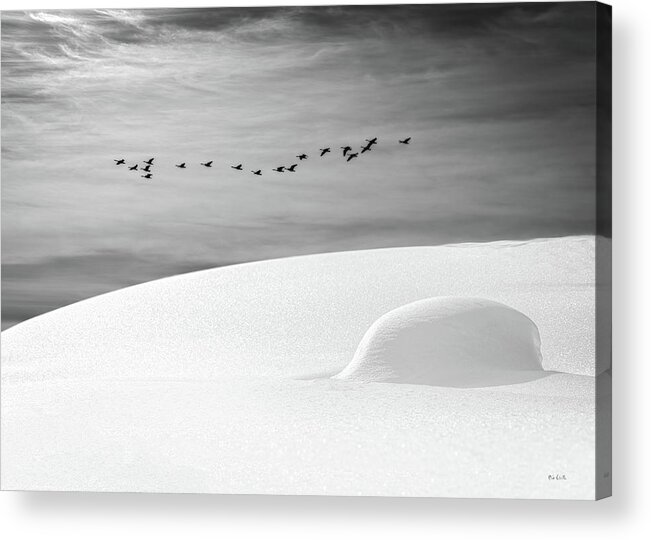 Landscape Acrylic Print featuring the photograph Early Snow by Bob Orsillo