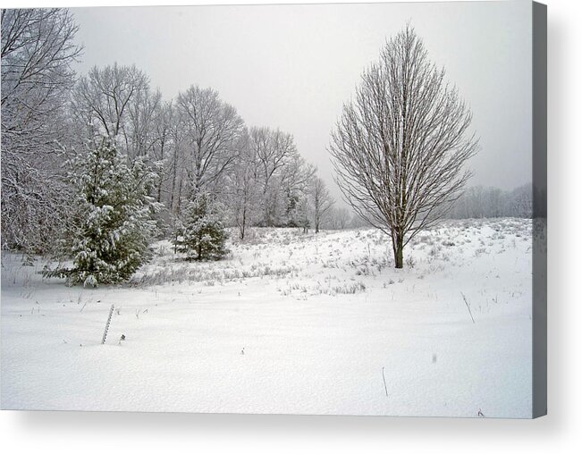 April Acrylic Print featuring the photograph Early spring in Michigan by Michael Peychich