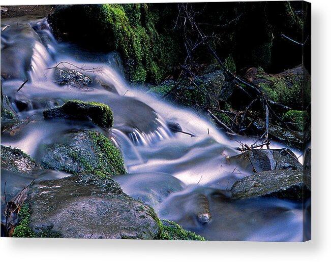 Fine Art Acrylic Print featuring the photograph Earth and Water Spirits 3 by Rodney Lee Williams