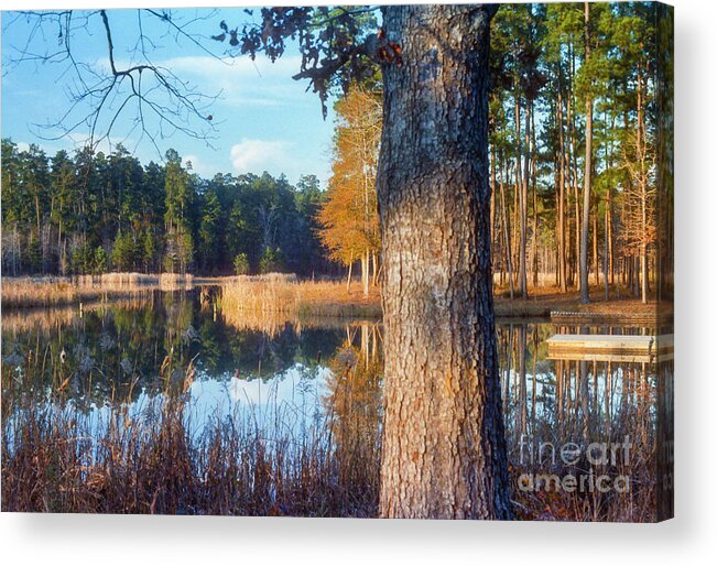 East Texas Lake Acrylic Print featuring the photograph East Texas Fall Color Three by Bob Phillips