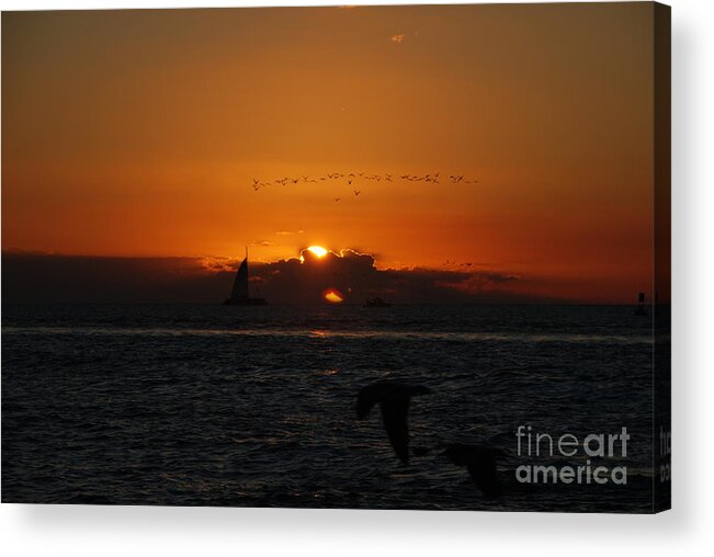 Sunset Acrylic Print featuring the photograph East West by Jim Goodman