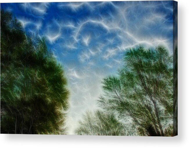 Landscape Acrylic Print featuring the photograph Electric Sky by Crystal Wightman