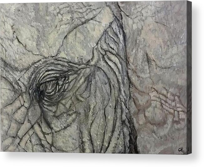 Elephant Eyes Acrylic Print featuring the painting Elephant by Carole Hutchison