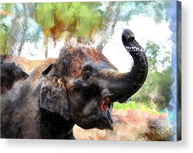 Elephant Acrylic Print featuring the digital art Elephant by Savannah Gibbs