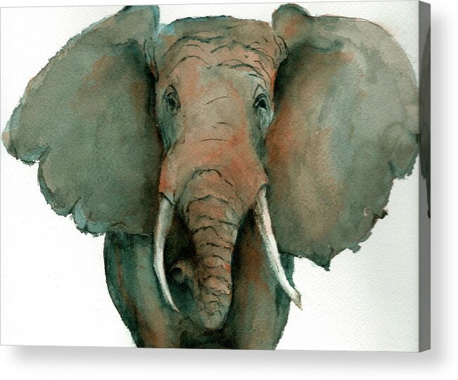 Africa Acrylic Print featuring the painting Elephant Up Close by Rhonda Hancock