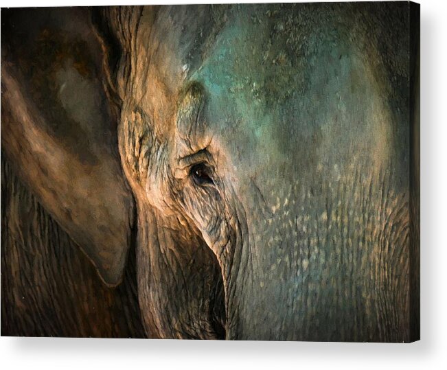 Elephant Acrylic Print featuring the digital art Elephants Eye by Charmaine Zoe