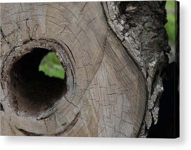 Empty Core Acrylic Print featuring the photograph Hollow Core by Brooke Bowdren
