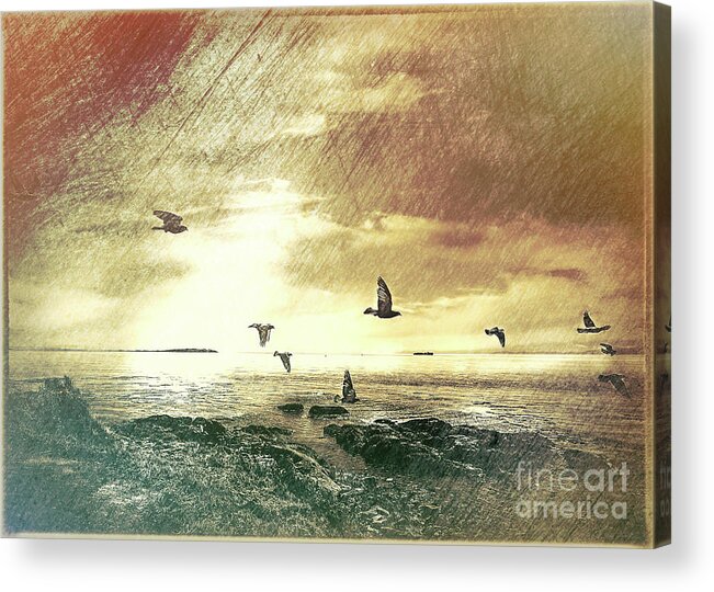 Birds Acrylic Print featuring the photograph Evening Flight by Barry Weiss
