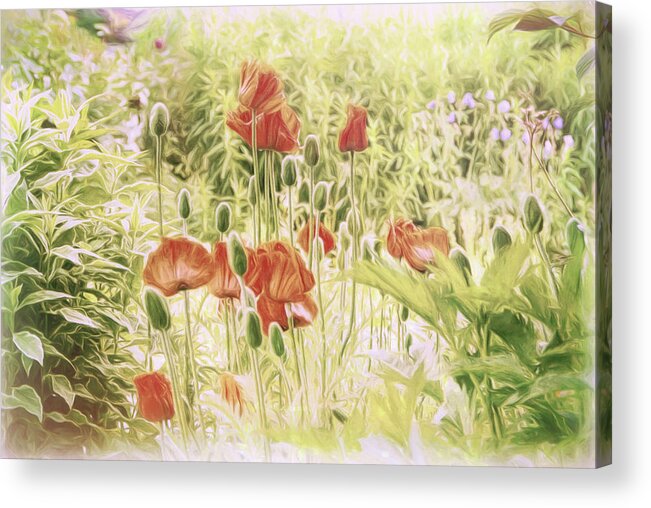 Poppy Flowers Acrylic Print featuring the photograph Fairy Garden 2 by Marilyn Wilson