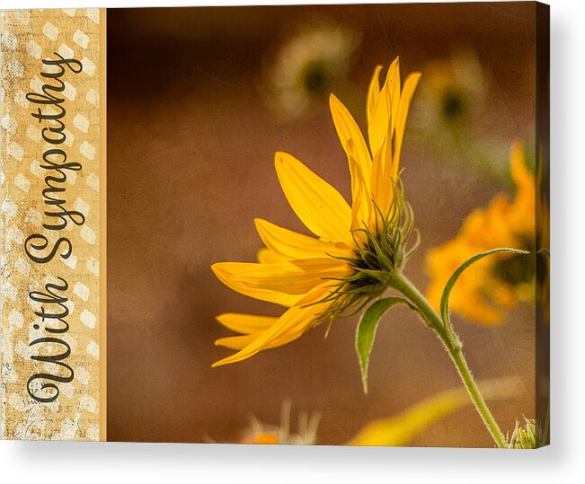  Acrylic Print featuring the photograph Fall Black-Eyed Susan - With Sympathy by Teresa Wilson