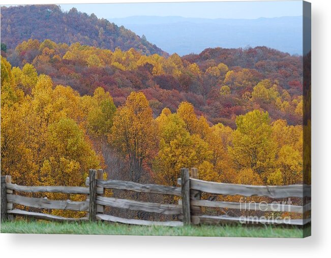 Fence Acrylic Print featuring the photograph Fall Blend by Eric Liller
