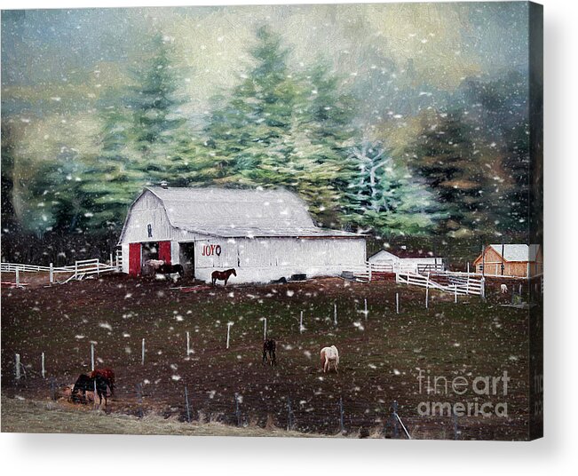 Barn Acrylic Print featuring the photograph Farm Life by Darren Fisher