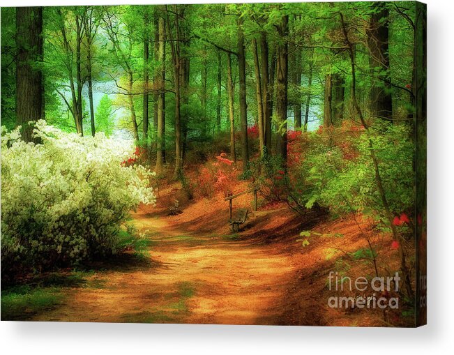 Landscape Acrylic Print featuring the photograph Favorite Path by Lois Bryan